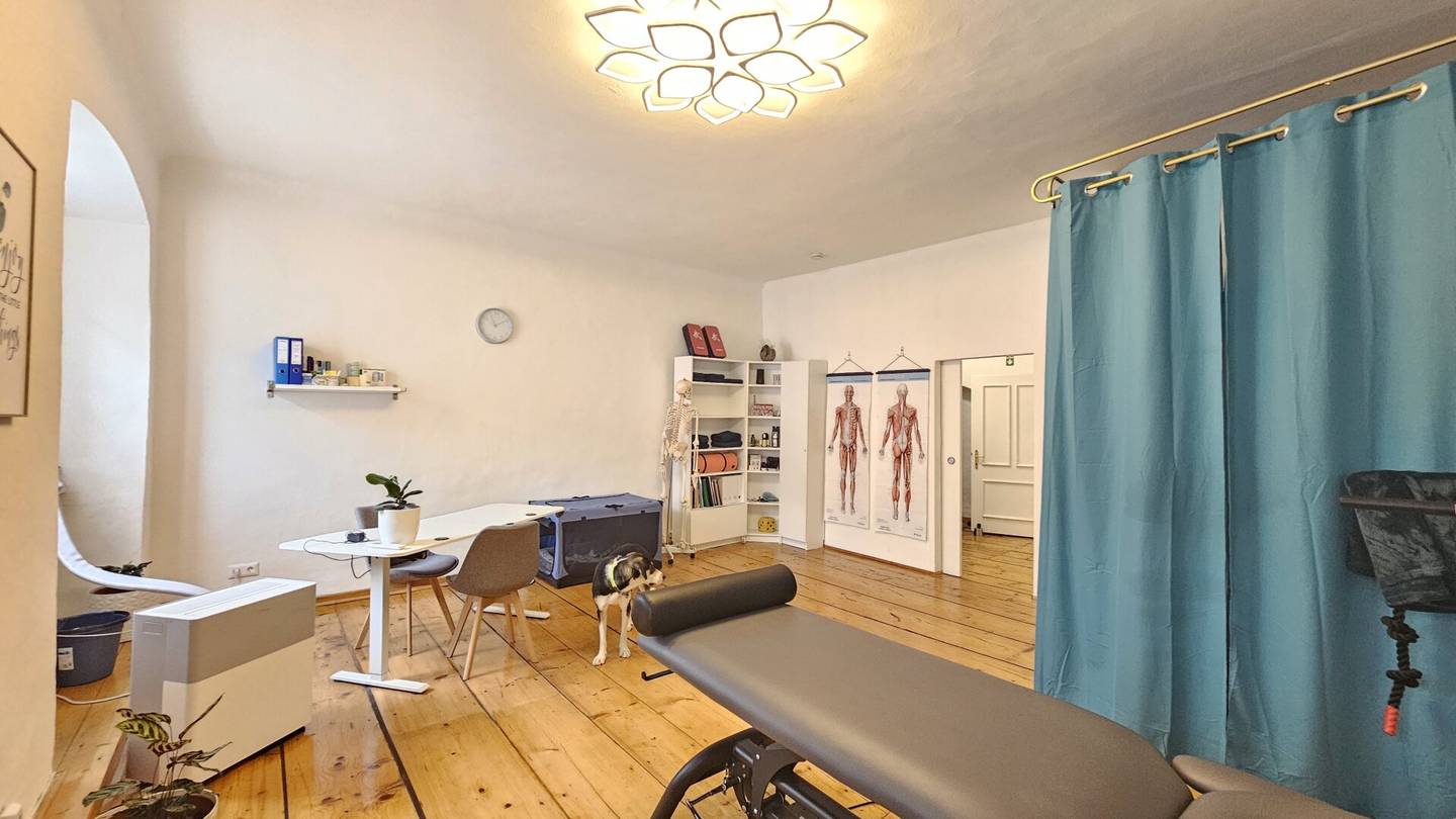 NEUES BÜRO oder PRAXIS? Mieten und Wohlfühlen in Spittal/Drau.