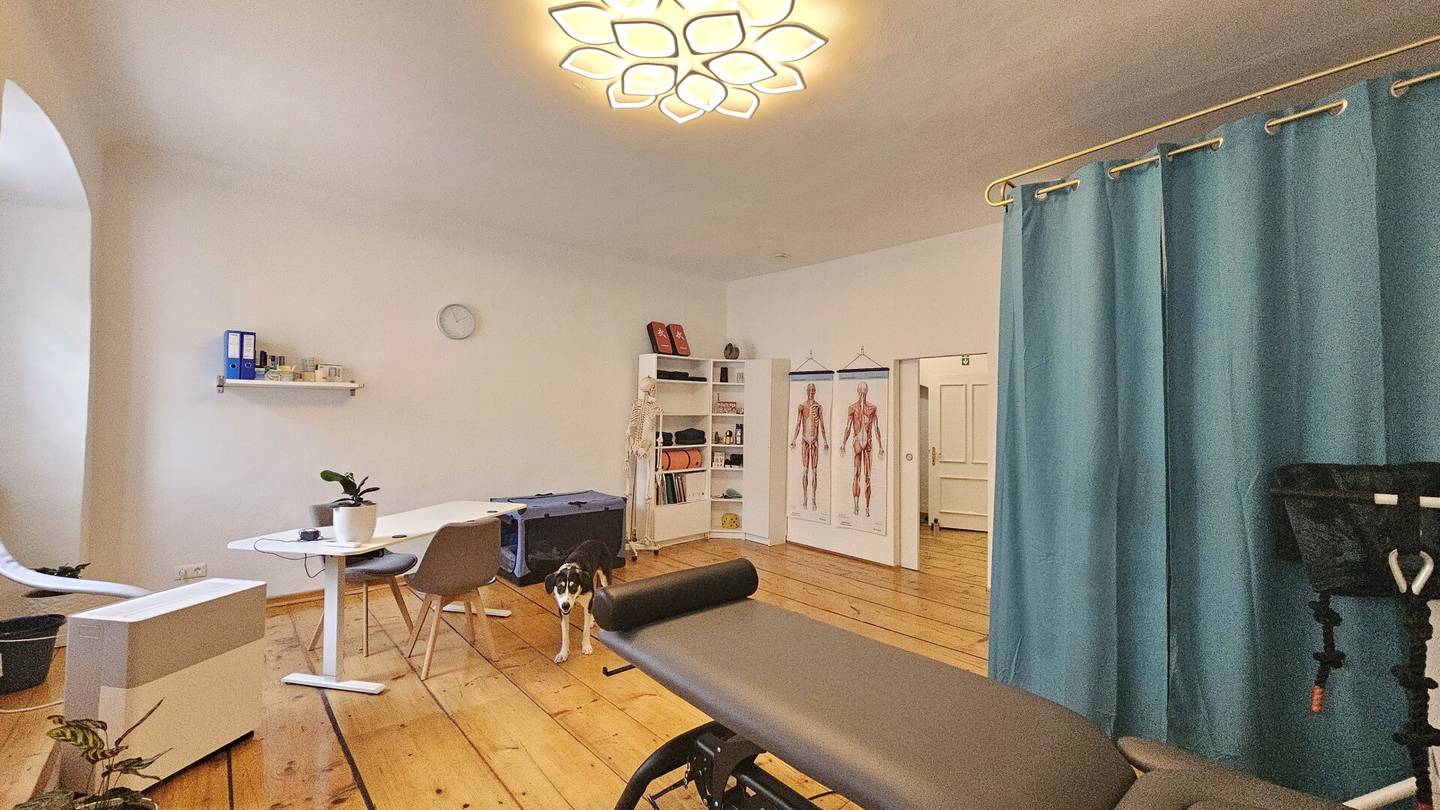 NEUES BÜRO oder PRAXIS? Mieten und Wohlfühlen in Spittal/Drau.