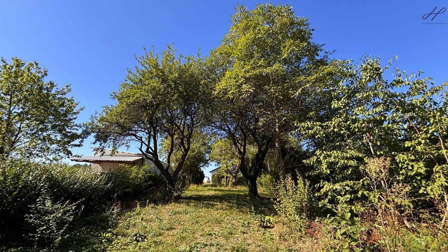 A Piece of Country Love - Living in the Green – Single Family House with 2.967 m² Plot, Forest, Well &amp; Conservatory