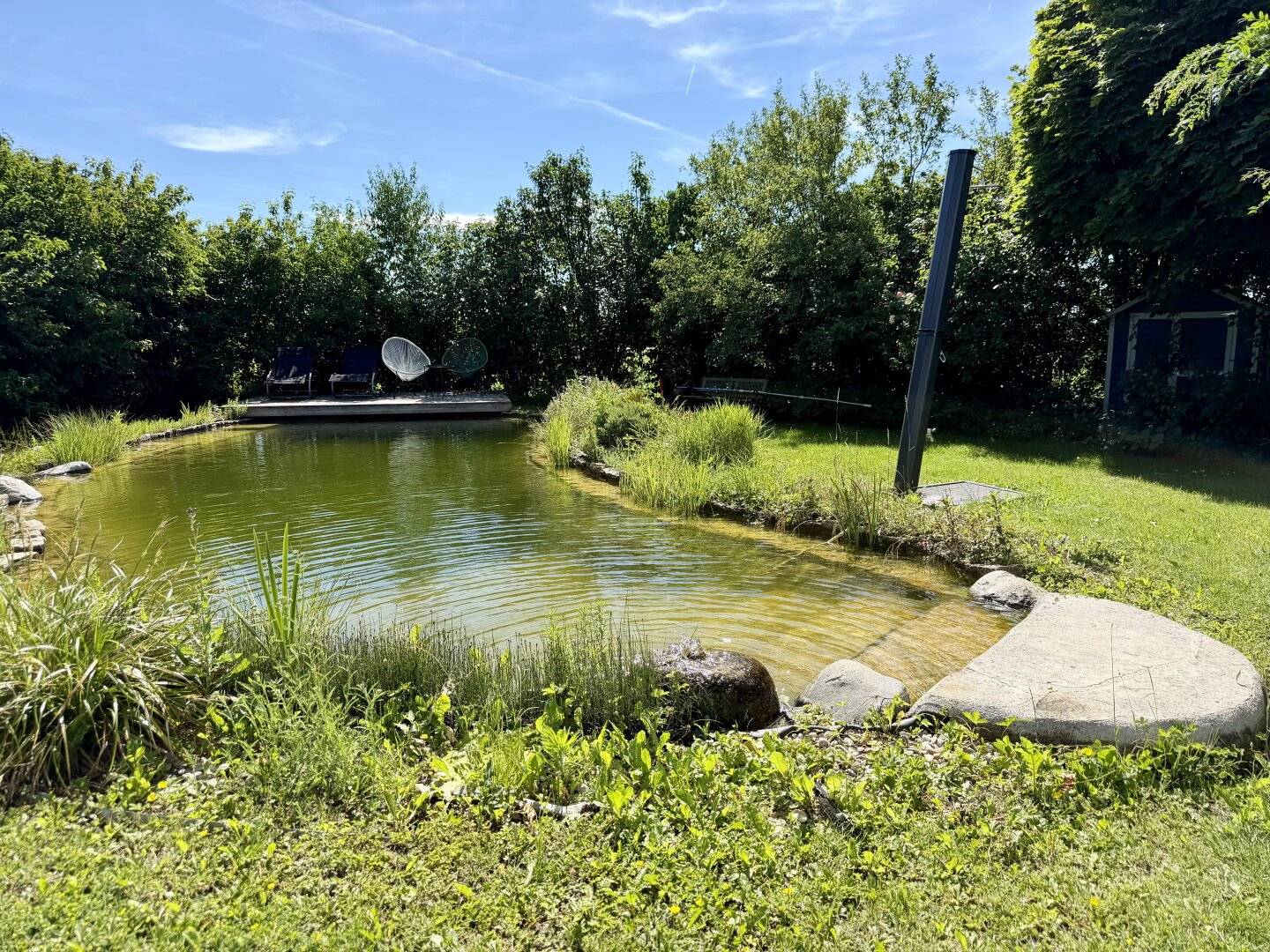 Dream home in the green with natural pool I 5 rooms I terrace I carport