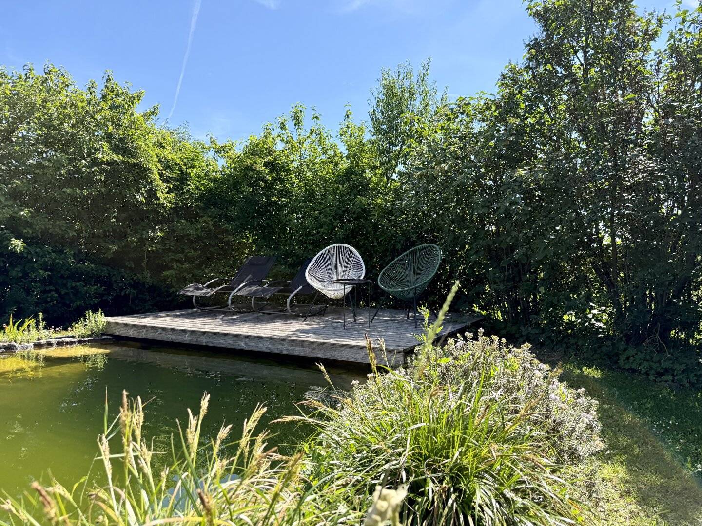 Dream home in the green with natural pool I 5 rooms I terrace I carport