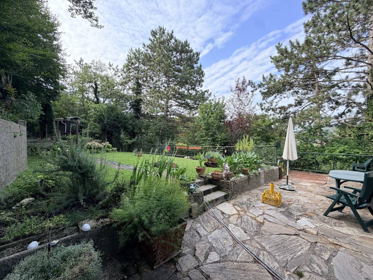 Forest edge location with green view - house for demolition