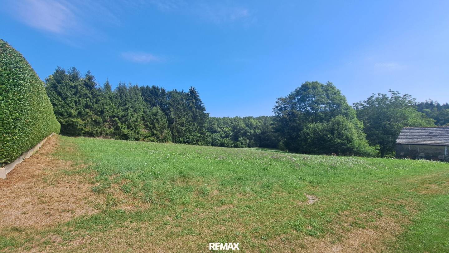 Dreamlike building plot in Weinitzen in sunny forest edge location