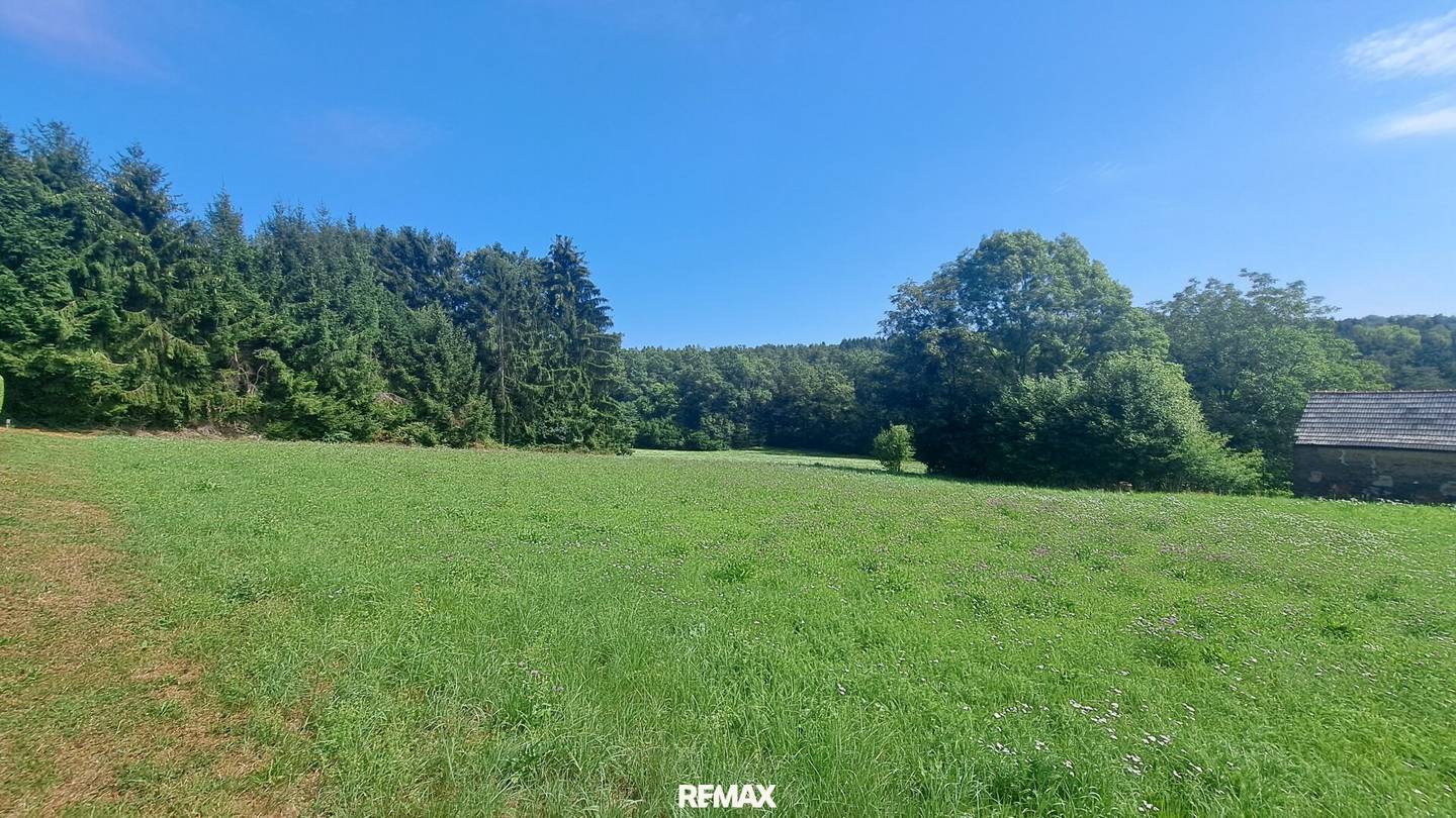 Dreamlike building plot in Weinitzen in sunny forest edge location