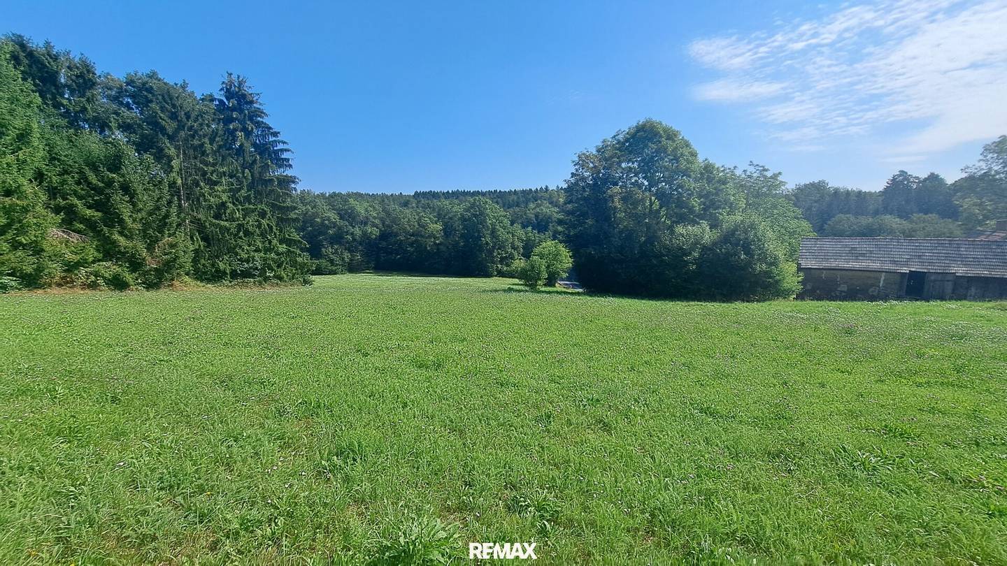 Dreamlike building plot in Weinitzen in sunny forest edge location