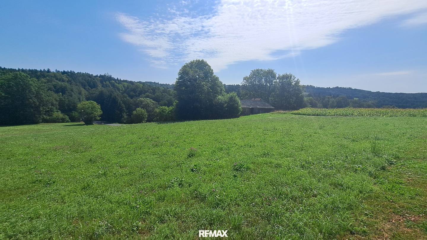 Dreamlike building plot in Weinitzen in sunny forest edge location