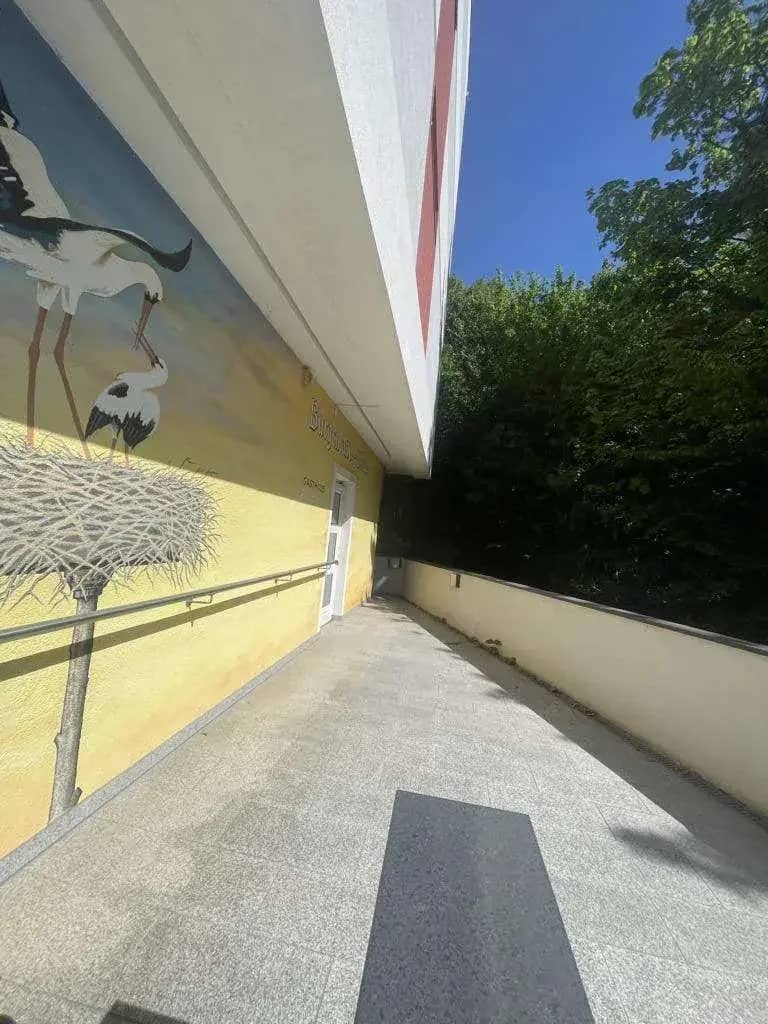 Bild