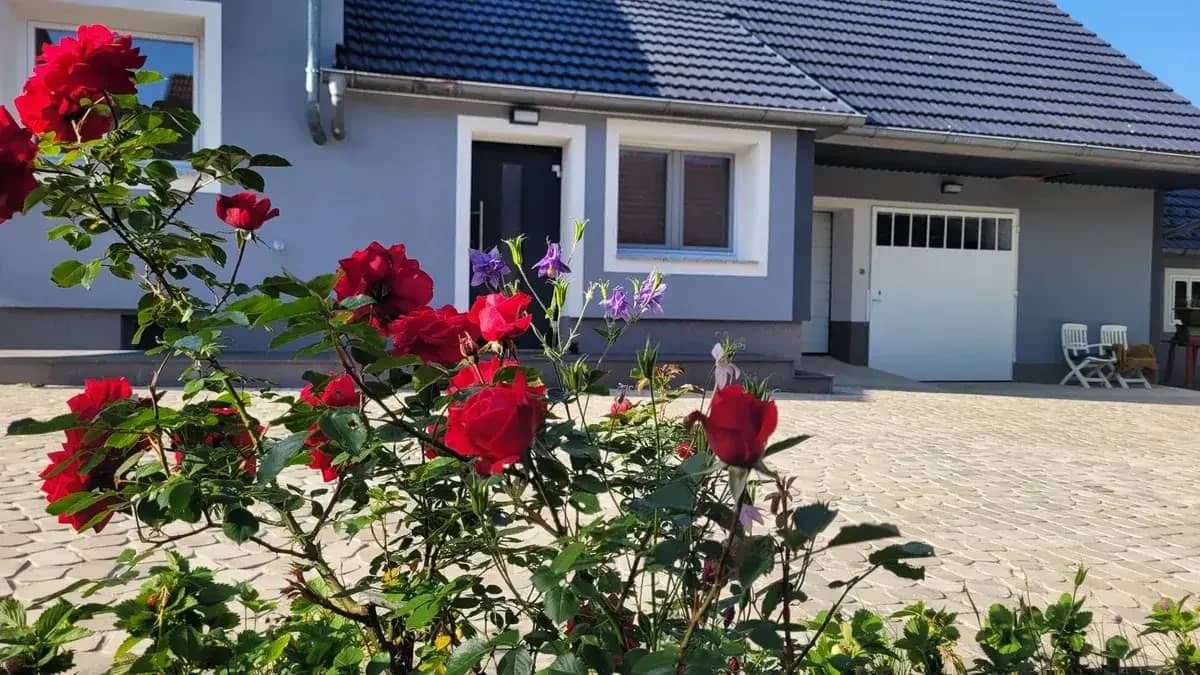 Modernised residential house with separate apartment in sunny Südburgenland!