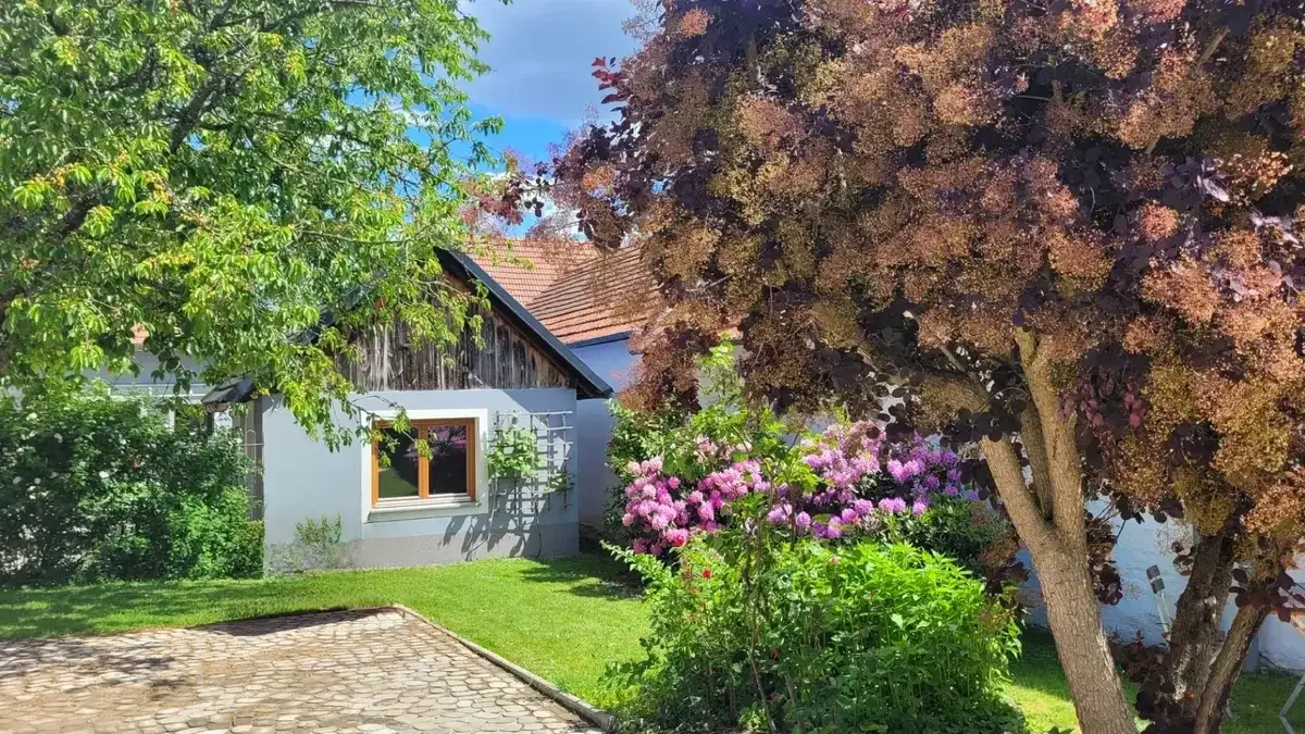 Modernised residential house with separate apartment in sunny Südburgenland!