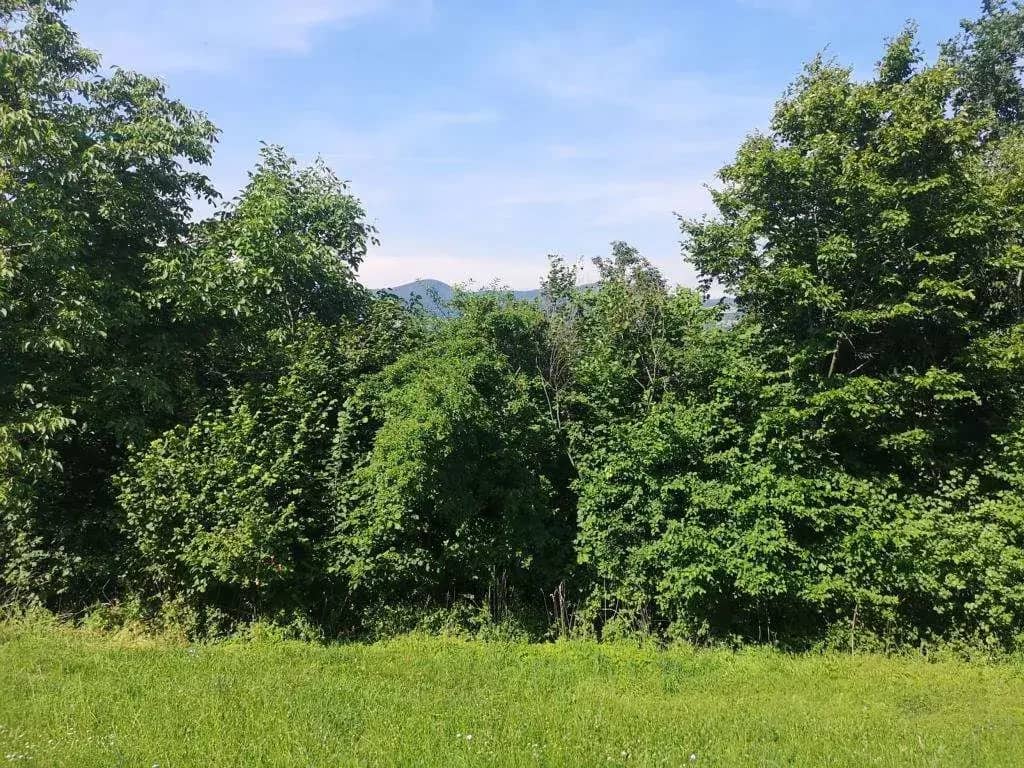 Sunny Building Plot with View in the Pöllauer Tal Nature Park - near Hartberg