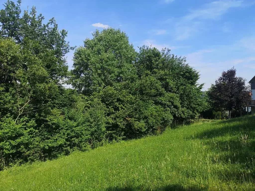 Sunny Building Plot with View in the Pöllauer Tal Nature Park - near Hartberg