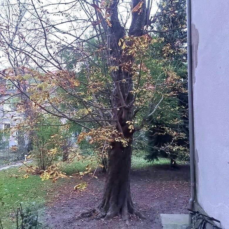 Immobilienbild 4