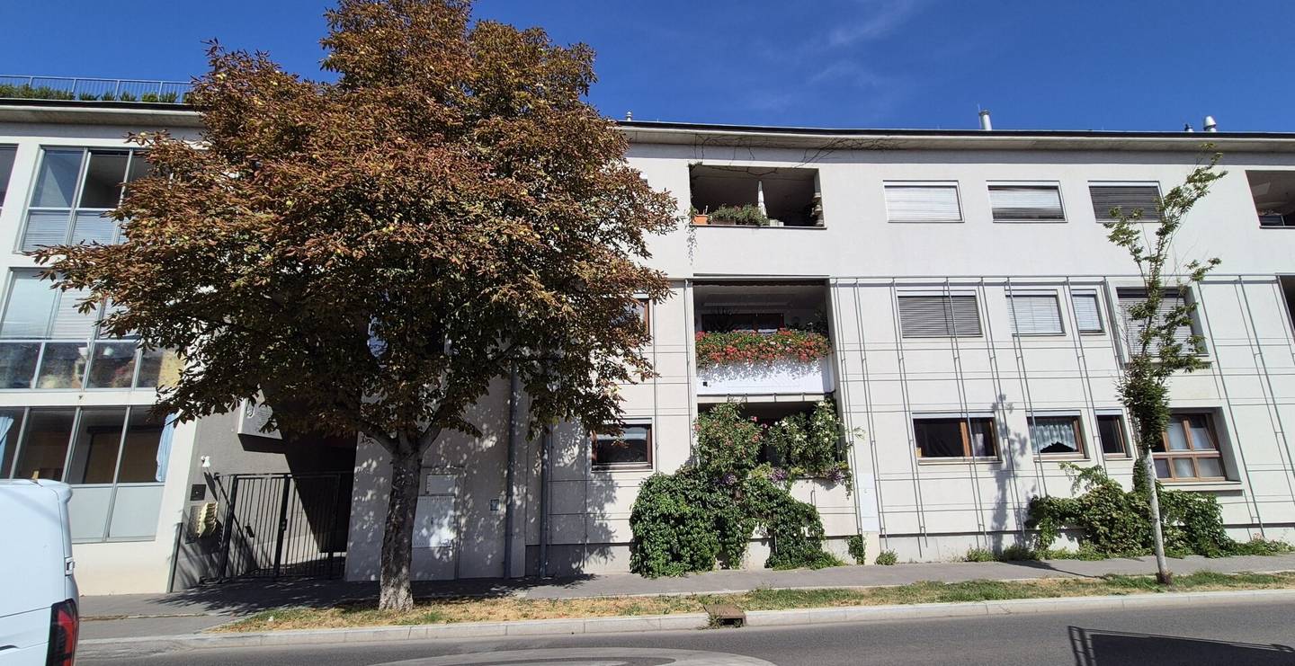 Courtyard-facing 1-room apartment near De la Salle Campus