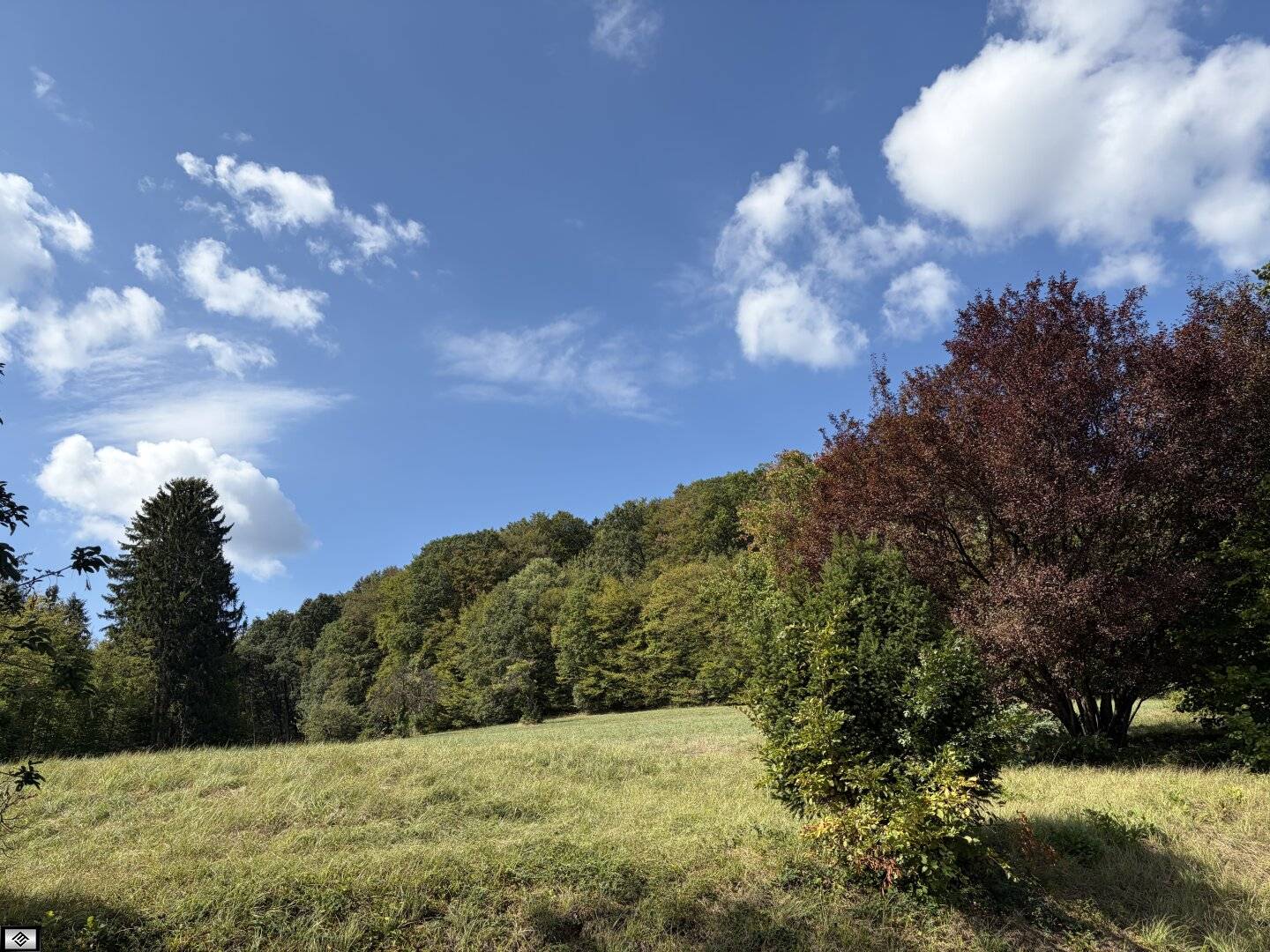 110m2 rental apartment in the Vienna Woods