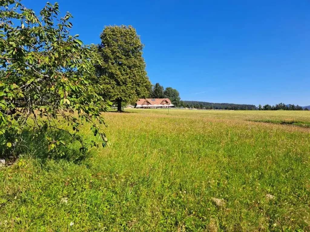 Rarity: Beautiful plot with its own spring share for sale in Wenigzell