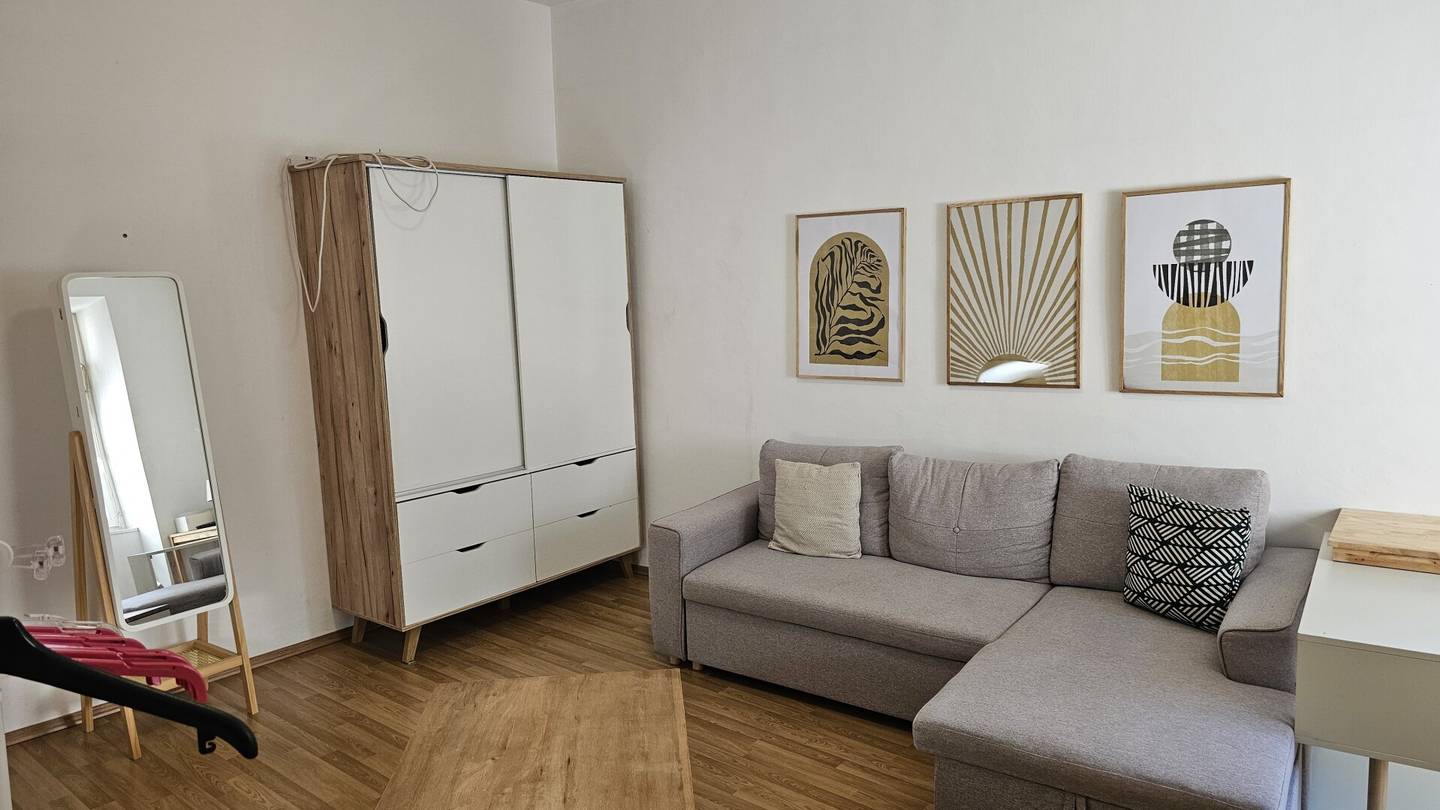 Student Apartment in Vienna (Info Video in Text)