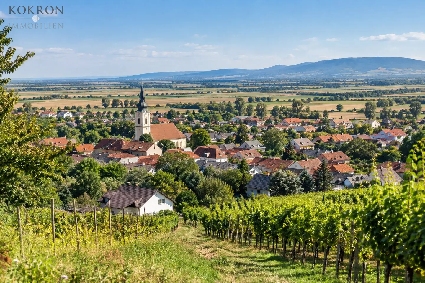 Large, level plot in the town centre