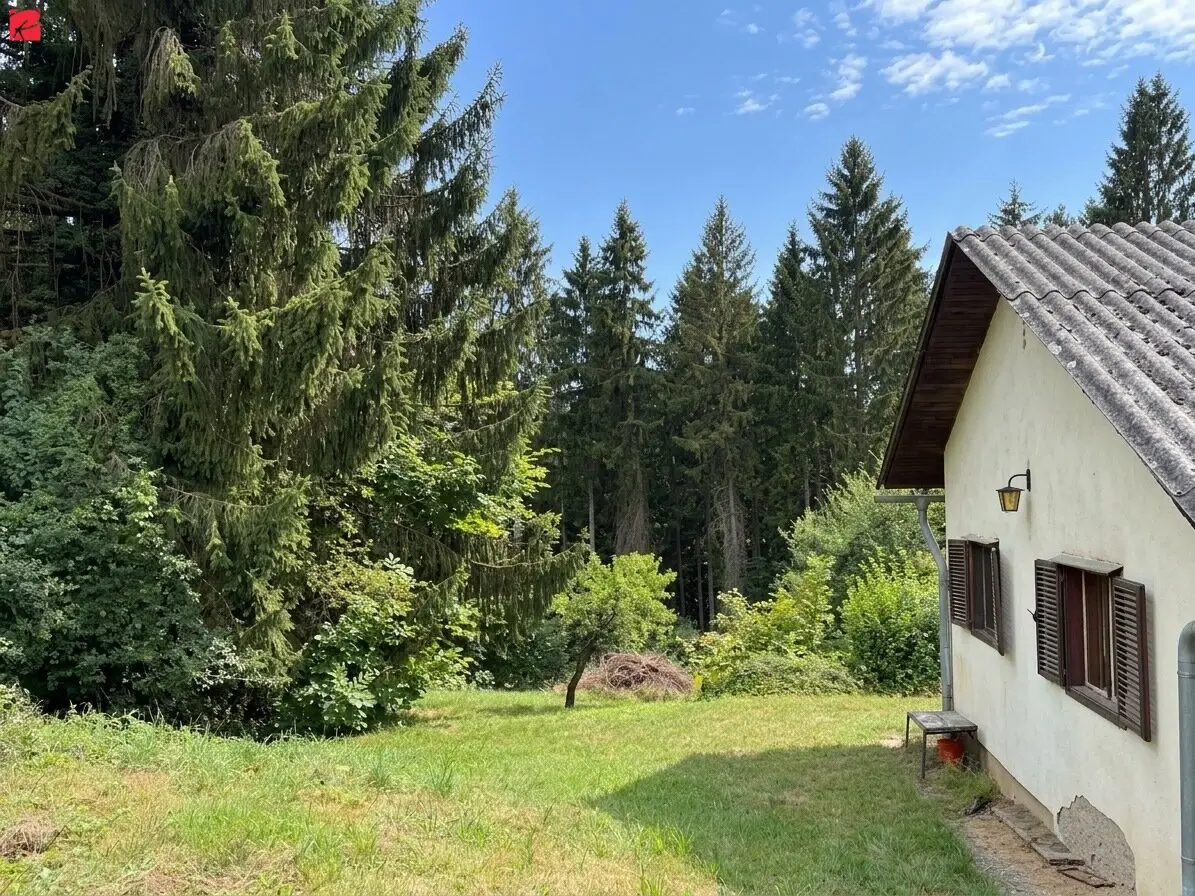 Immobilienbild 4