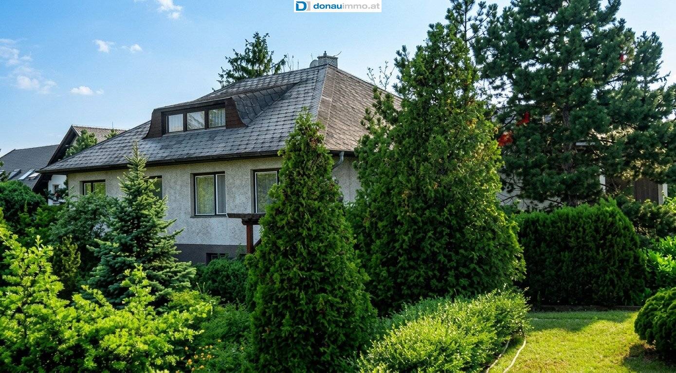 Immobilienbild 2