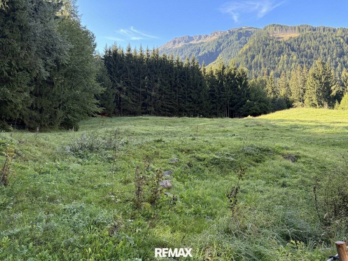 Zwei Freilandflächen mit vielseitiger landwirtschaftlicher Nutzung in Sautens!