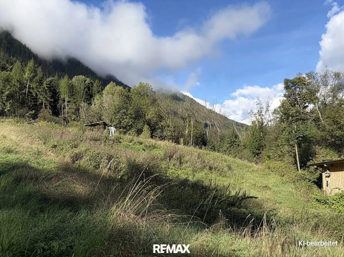 Two open land plots with versatile agricultural use in Sautens