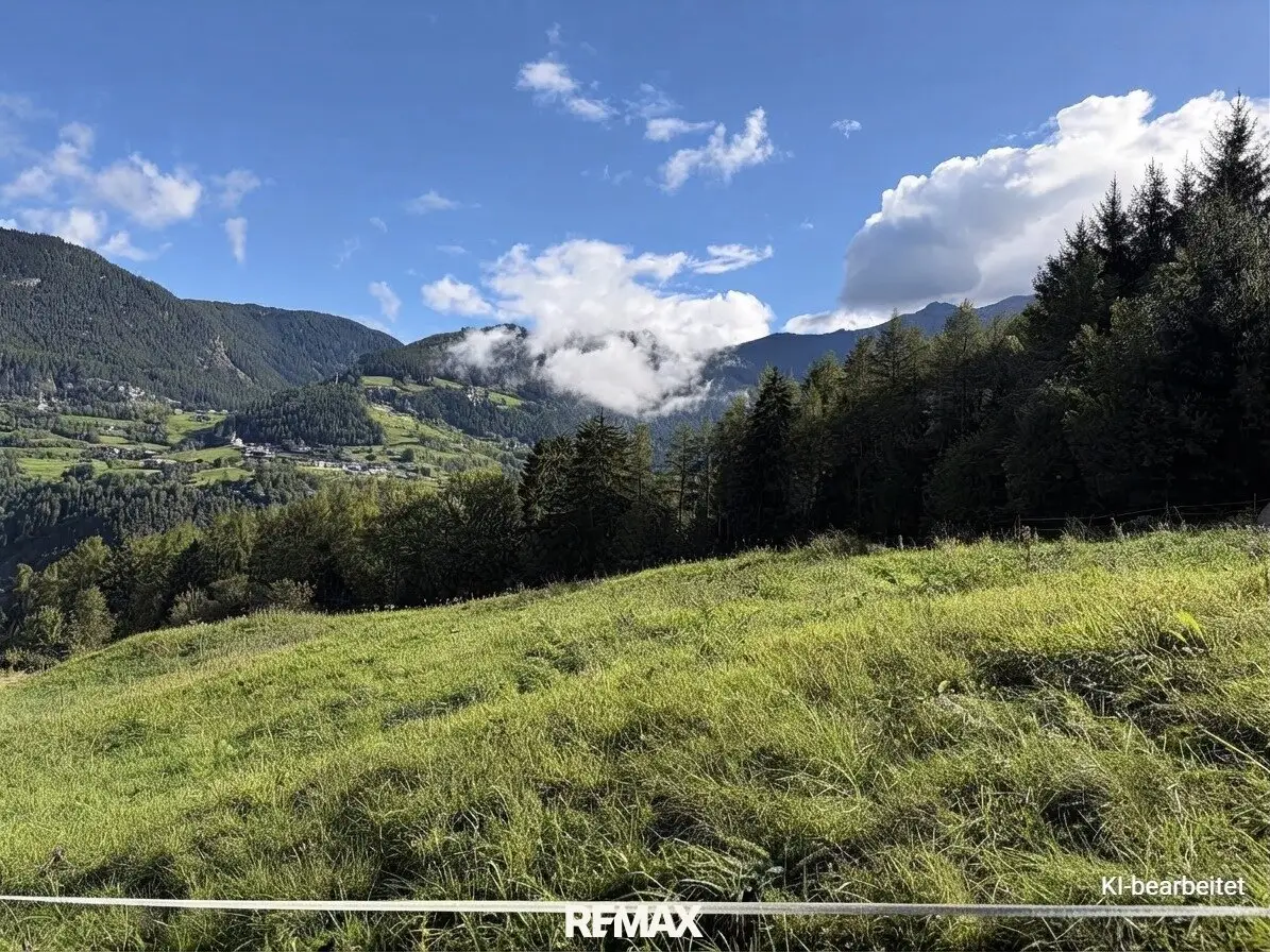 Two open land plots with versatile agricultural use in Sautens