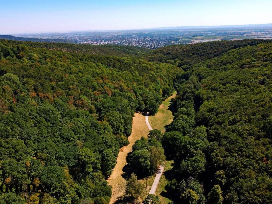 Private refuge in Baden &amp; Alland – 23,000 m² plot with historic buildings