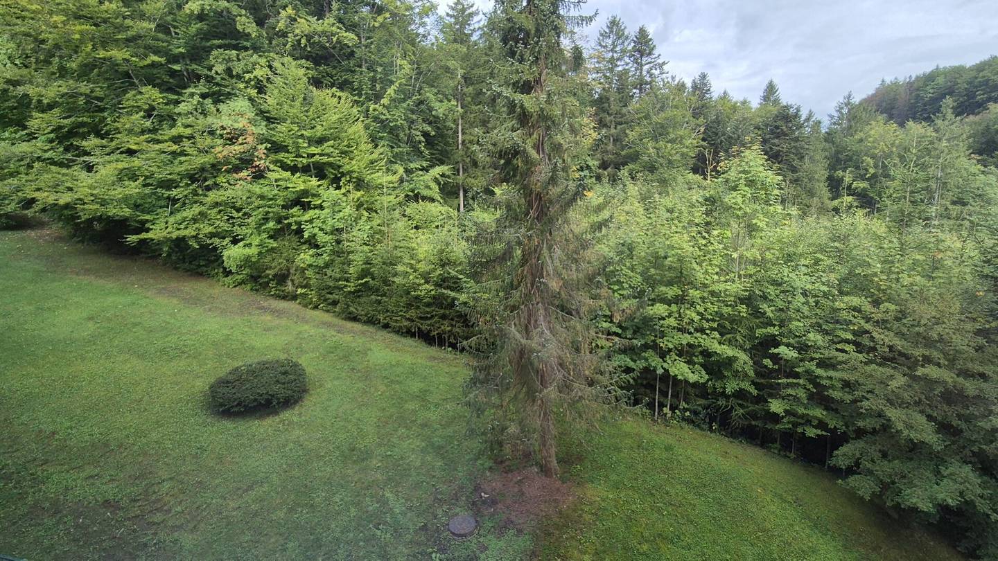 Two-room apartment with dream lake view for rent