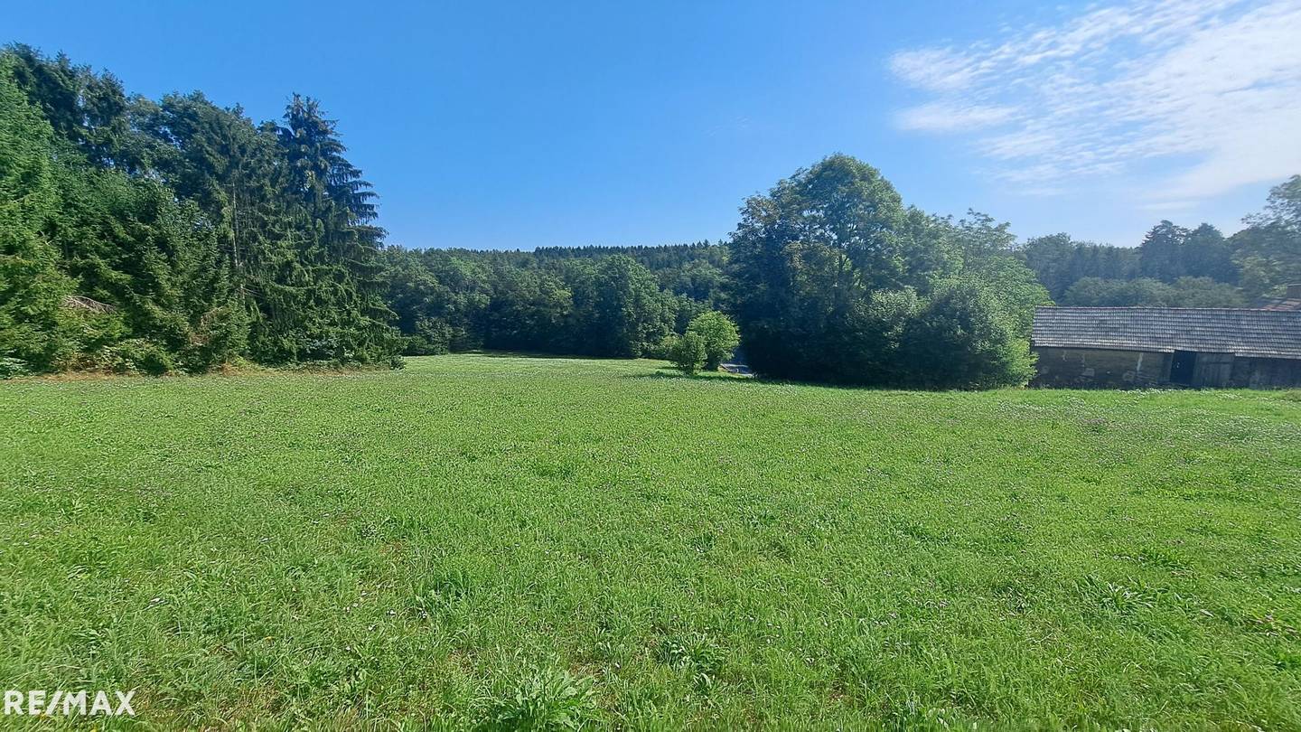 Traumhaftes Baugrundstück in Weinitzen in sonniger Waldrandlage