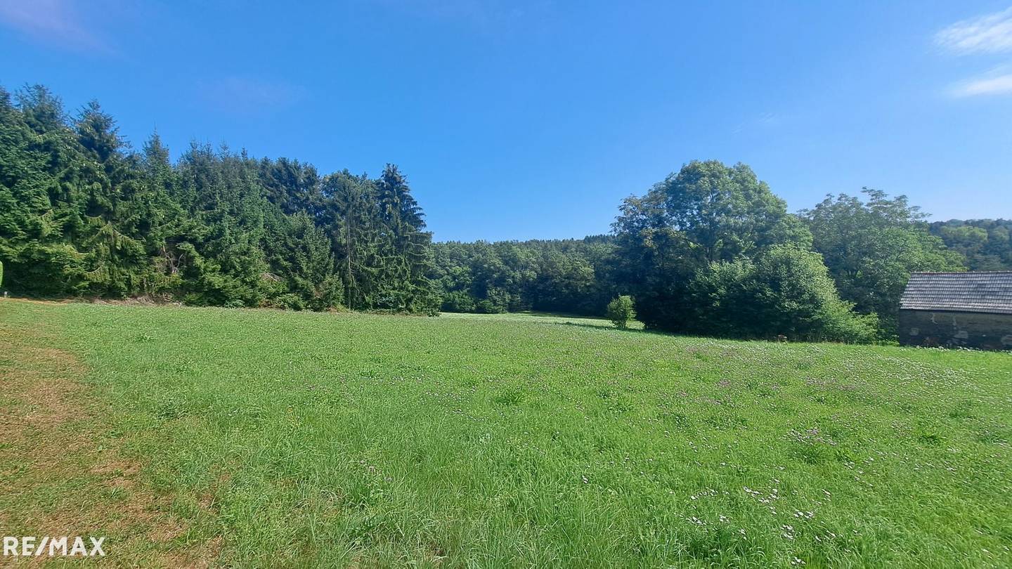Traumhaftes Baugrundstück in Weinitzen in sonniger Waldrandlage
