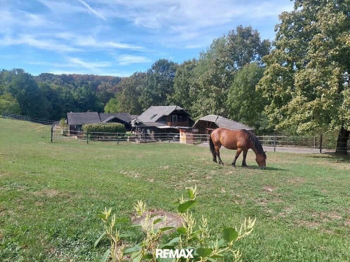The dream of owning your own horse farm