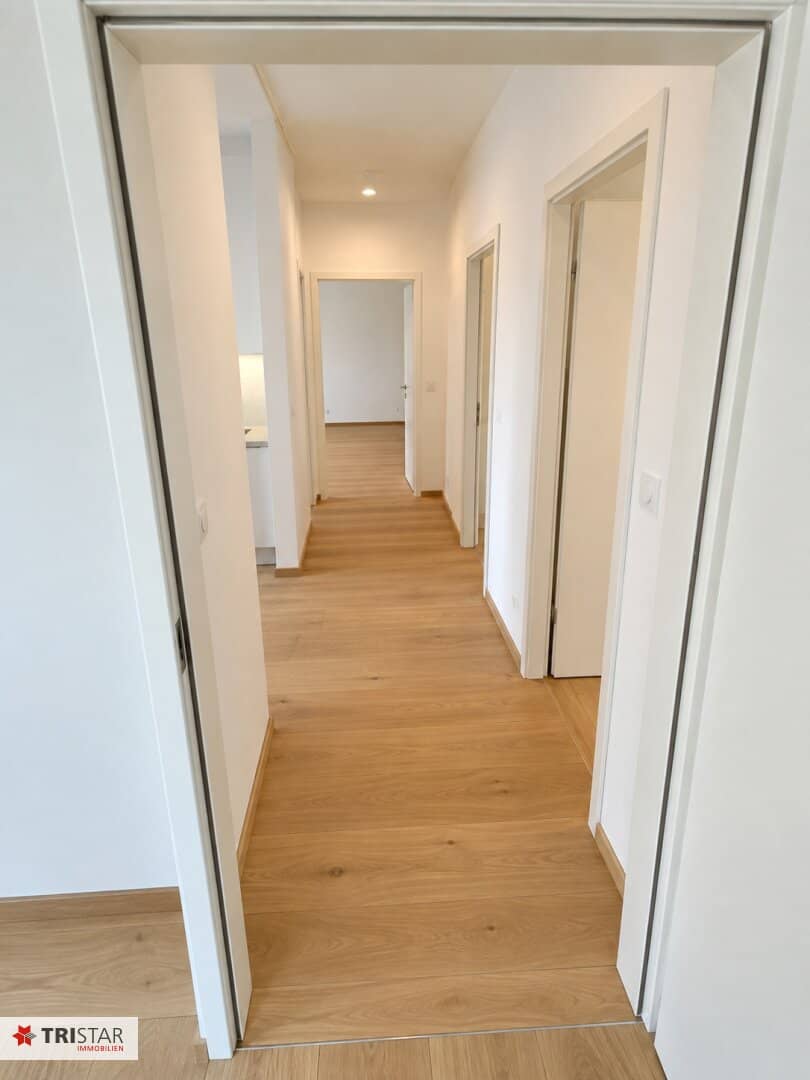 Modern 2-room apartment, fully renovated, 50m², elevator, bicycle room – 239,000 € in 1230 Vienna