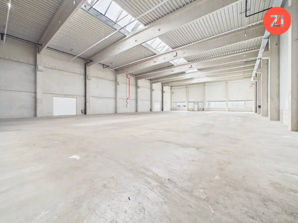Neuwertige Halle mit Bürotrakt und Erdwärme Loftwohnung