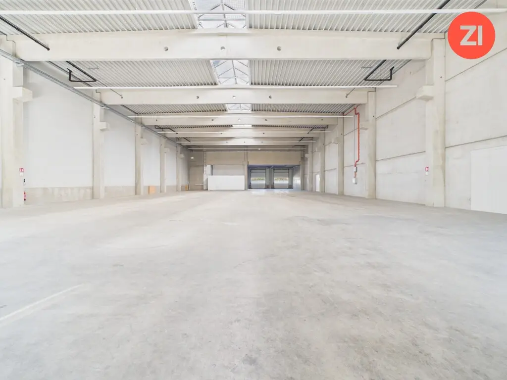Neuwertige Halle mit Bürotrakt und Erdwärme Loftwohnung