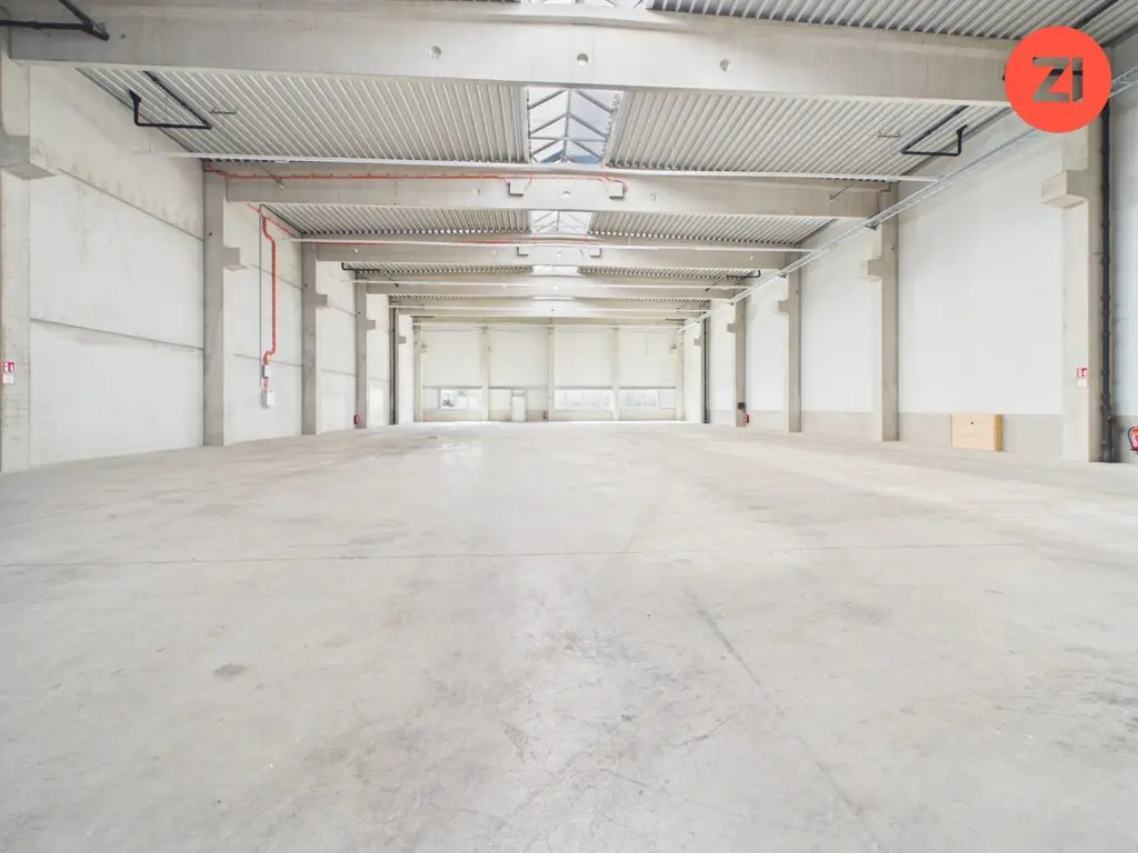 Neuwertige Halle mit Bürotrakt und Erdwärme Loftwohnung