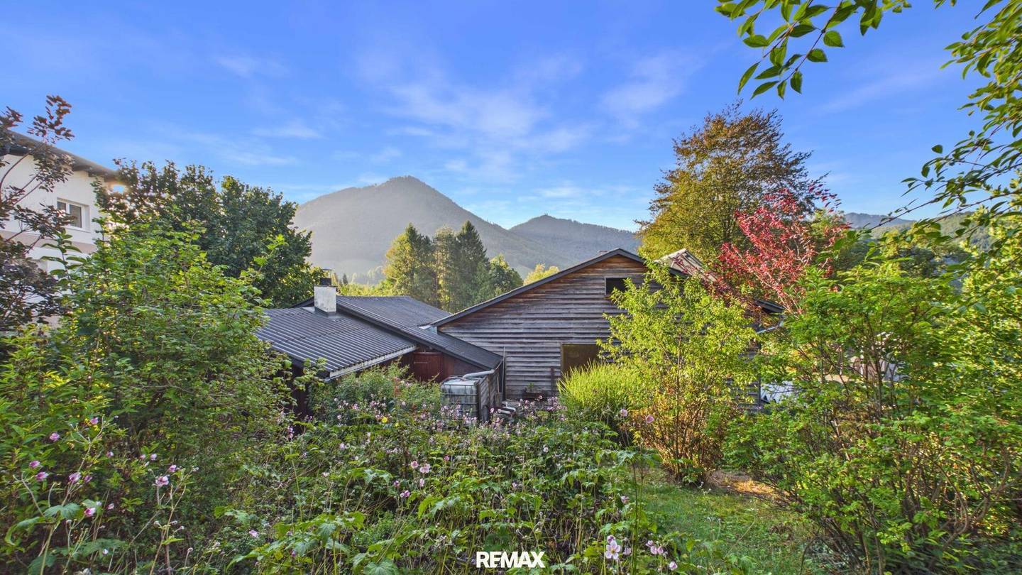 Small house in idyllic location