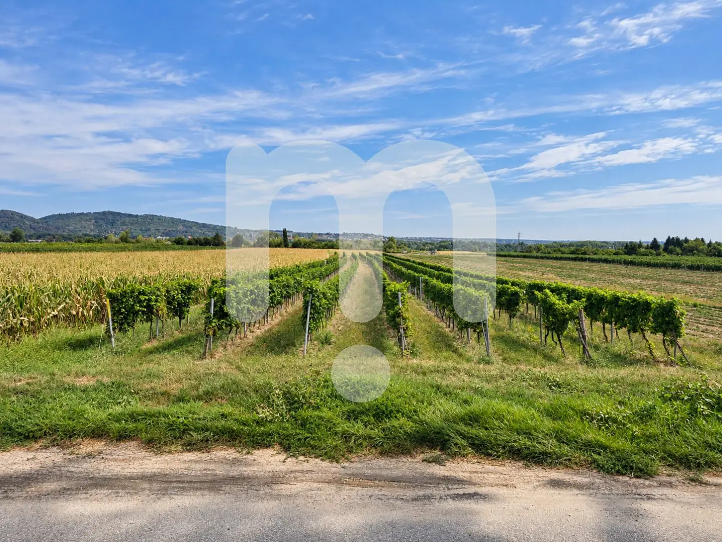 Historisches Weingut mit angrenzenden Weingärten in Furth bei Göttweig – seltene Gelegenheit zur Miete