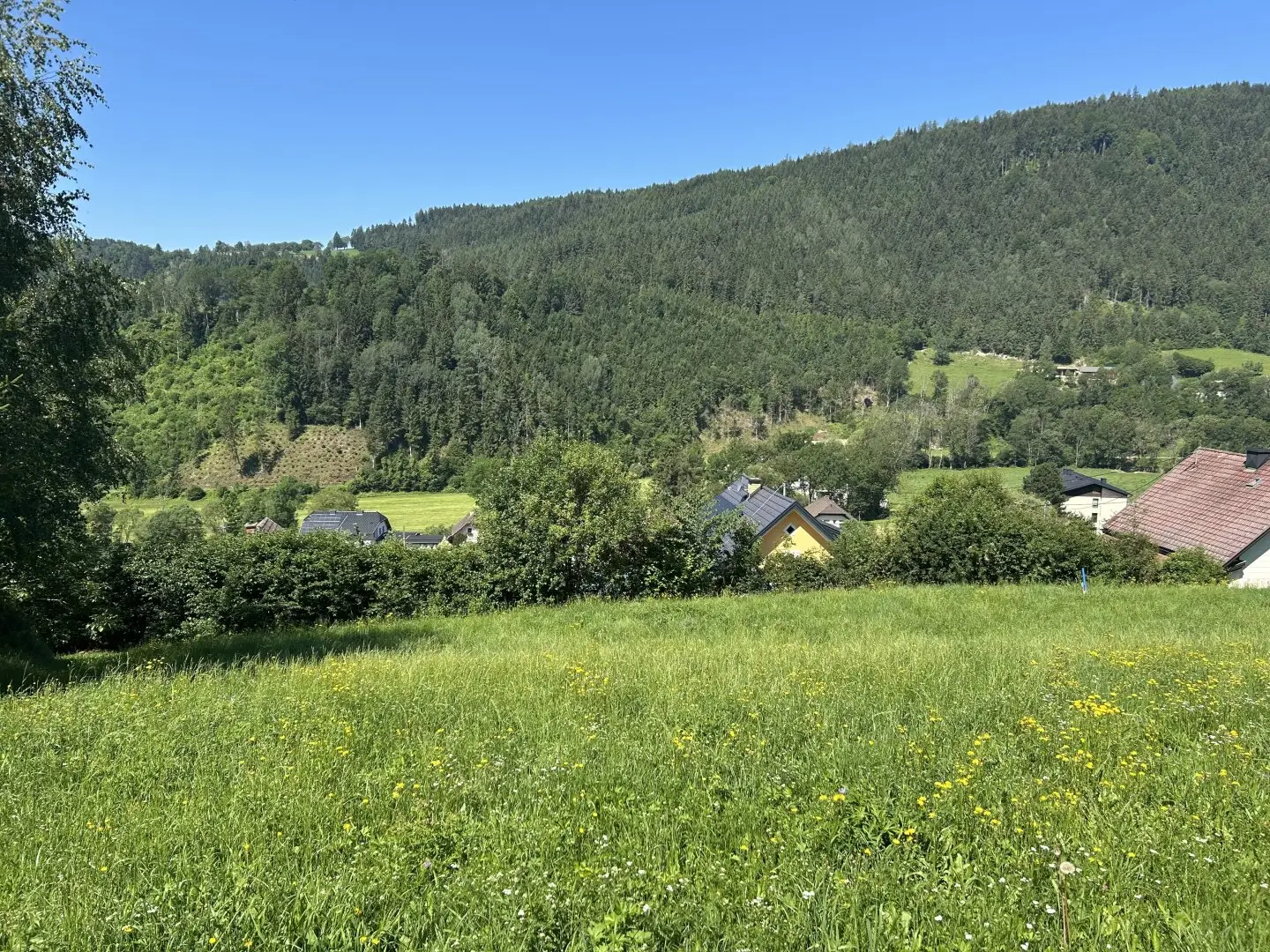 Baugrundstück 994m² in Kitschdorf/Görtschitztal, unverbaubare Aussichtslage zum Top-Preis!