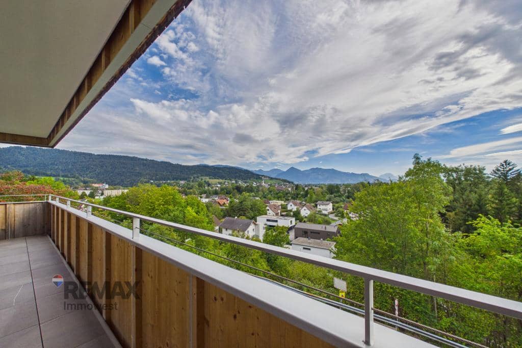 Bright apartment with large terrace and Rhine valley view