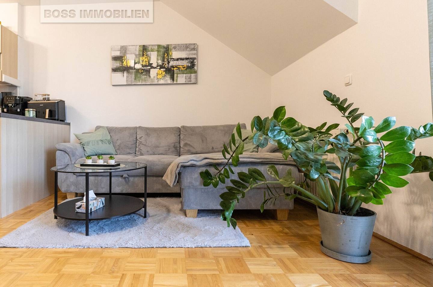Begonia