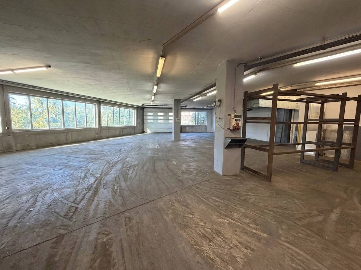 Spacious production halls with residential apartment