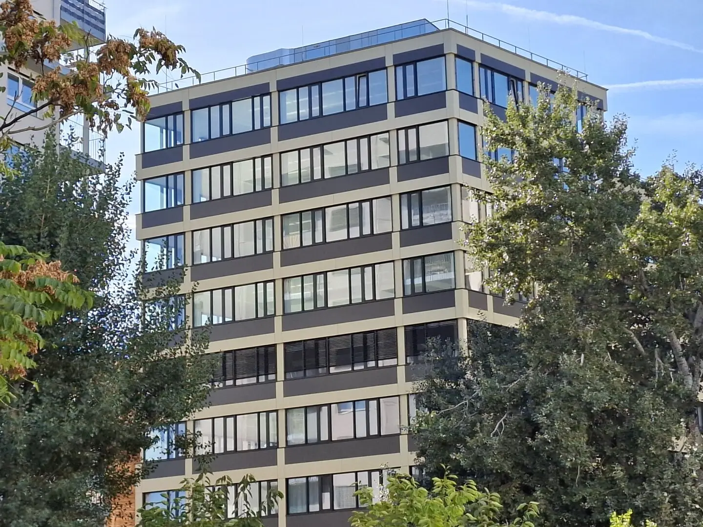 new office building, energy efficient, first occupancy, bright office, immediately available