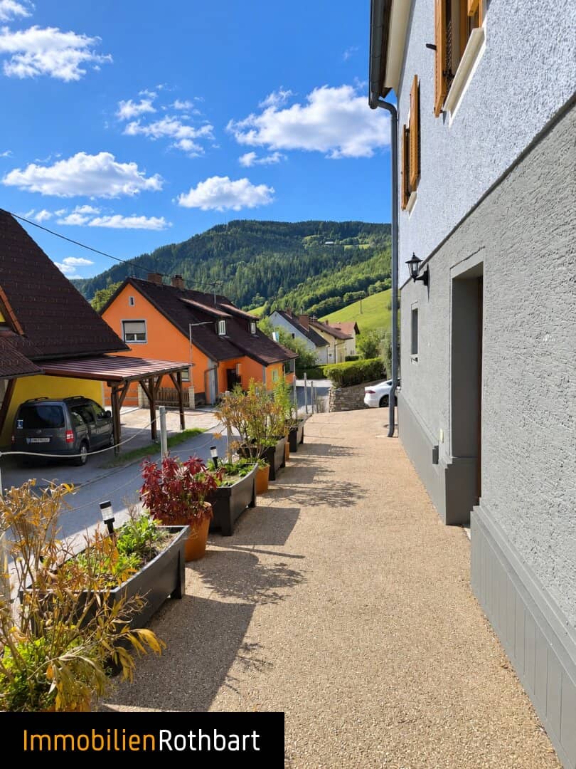 Beautiful renovated single-family house with garden, terrace and garage