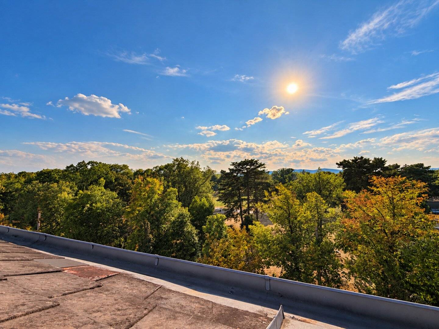NEW PRICE!!! - Tenement house with unobstructed green view &amp; 603m² NNFL roof extension - Near subway - Exclusive mandate