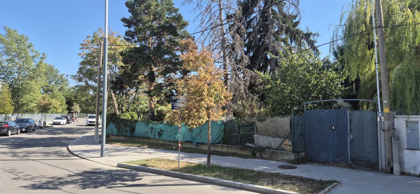 Until 12.11.2026: Plot in quiet location - adjacent plot also for sale (commission-free)