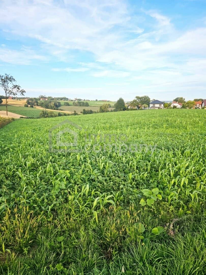 Attractive arable land with 3.6 ha in Kremsmünster