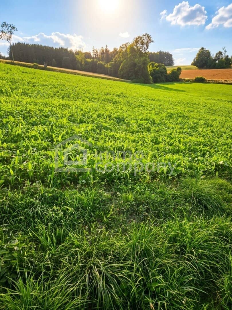 Attractive arable land with 3.6 ha in Kremsmünster