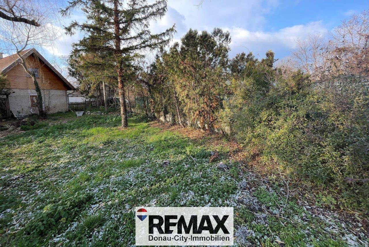 Attractive new development potential on generous building plot Wohnung