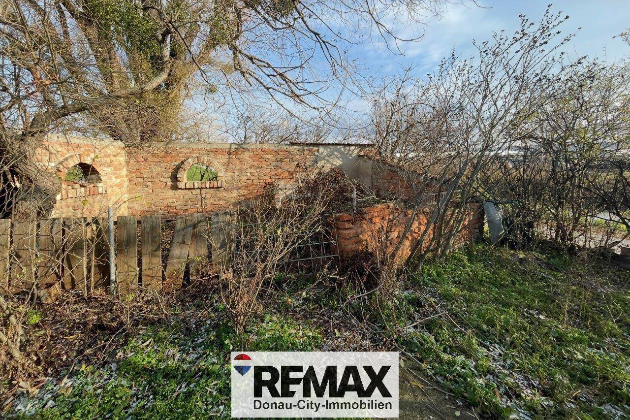 Attractive new development potential on generous building plot Wohnung