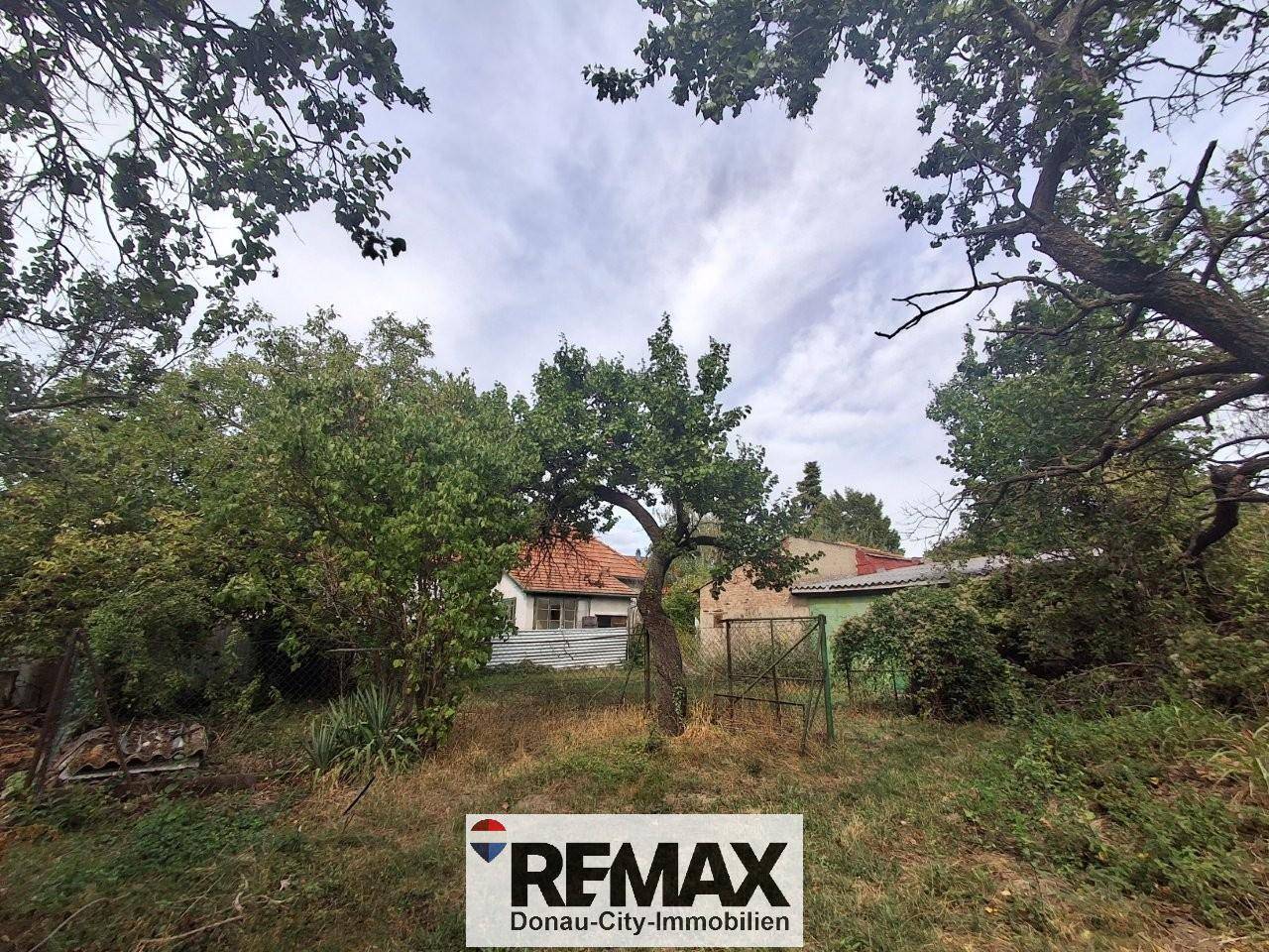 Sunny location near Neufeldersee with large orchard Apartment